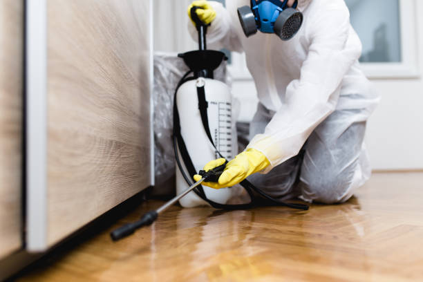Pest Prevention Services in Mckinney, TX