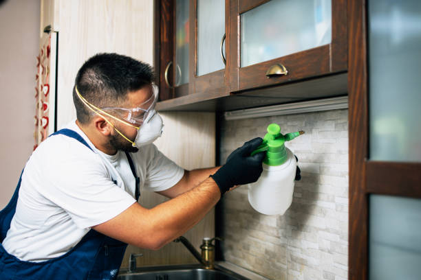 Best Exterminator Services  in Mckinney, TX