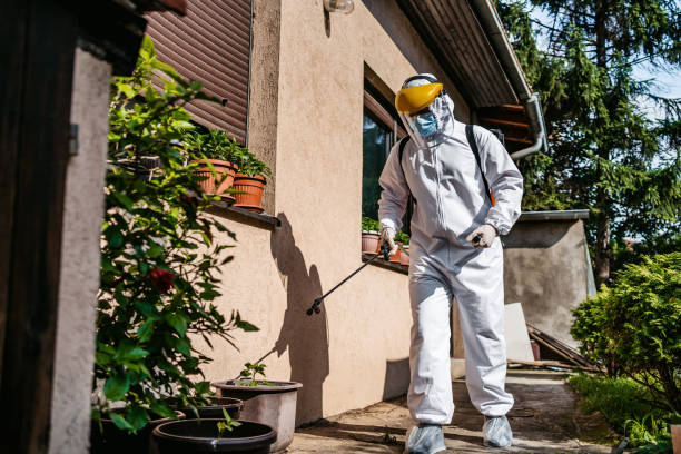 Best Best Pest Control Companies  in Mckinney, TX