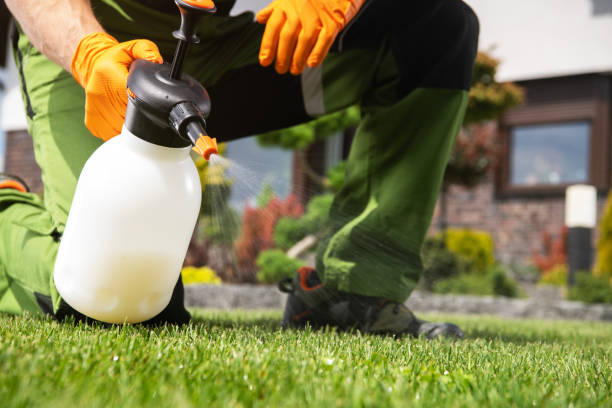Best Exterminator Services  in Mckinney, TX