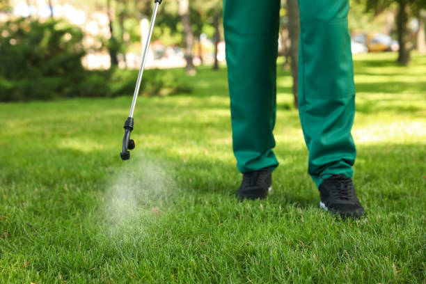 Best Pest Control for Businesses  in Mckinney, TX
