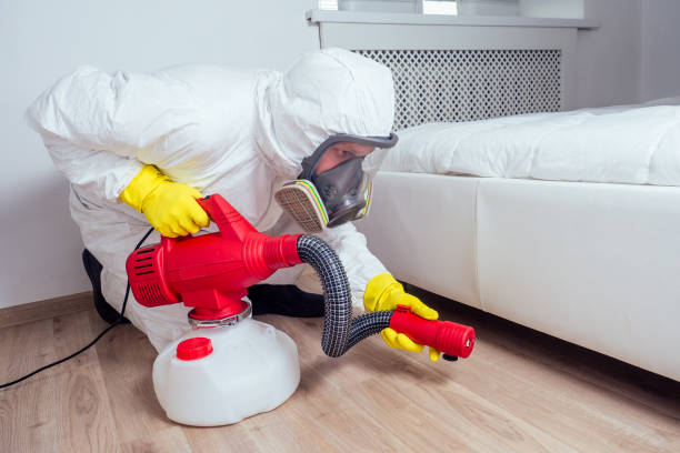 Best Bed Bug Extermination  in Mckinney, TX