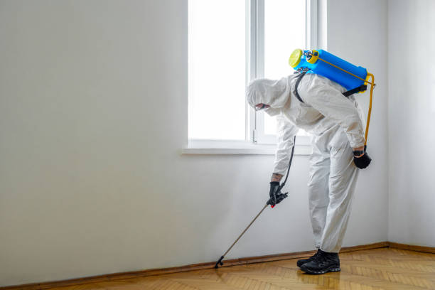 Best Cockroach Control Services  in Mckinney, TX