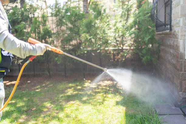 Best Wildlife Control Services  in Mckinney, TX