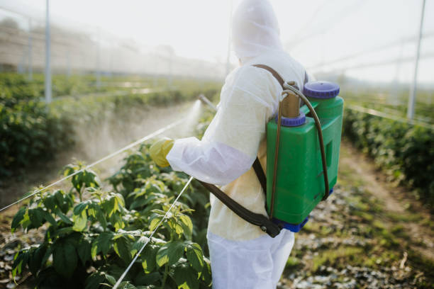 Best Affordable Pest Control Services  in Mckinney, TX